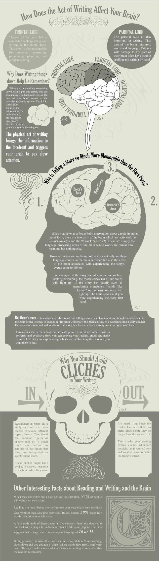 Essay about the brain