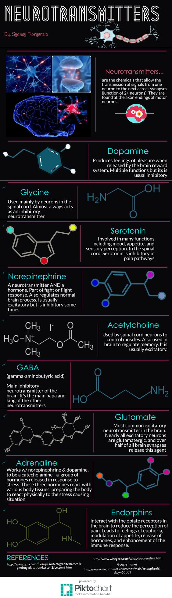 Neurotransmitters (Infographic)